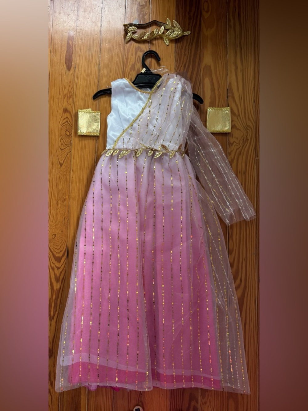 Princess Costume